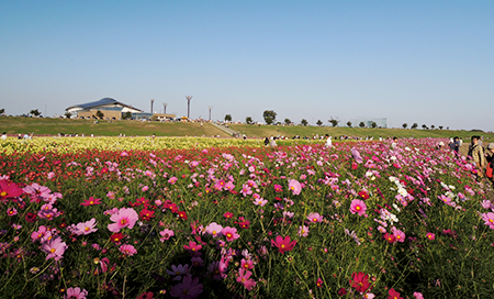 �ߗׂ��ł������