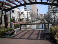 緑の広場