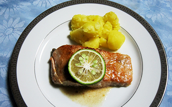 ���ӂ̂��������V�s