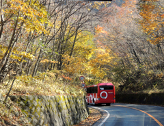 くまがや館クラブ紅葉バスツアー