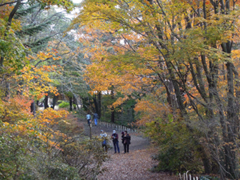 くまがや館クラブ紅葉バスツアー
