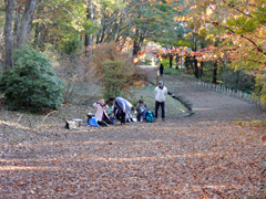 くまがや館クラブ紅葉バスツアー