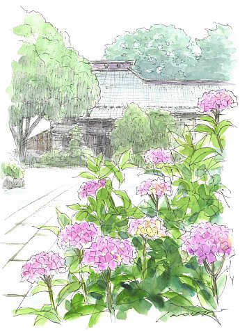 ���܂���˂��Ɓ@�X�P�b�`�U��