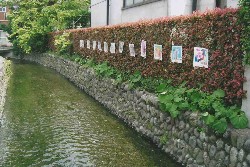くまがやねっと 熊谷人物伝 新井育夫さん