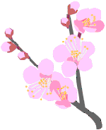うめ