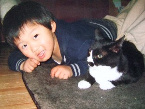 くまがやねっと 素敵なお家