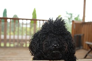 くまがやねっと 素敵なお家