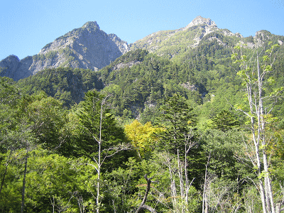 ふと見上げると雄大な山々が見えます