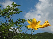 野反湖
