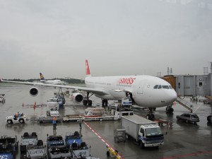 ���܂���˂��Ɓ@���܂���l�̗����L