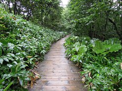 雄大な景色を求めて　道東めぐり