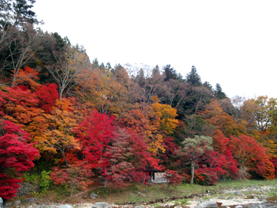 くまがや人の旅日記