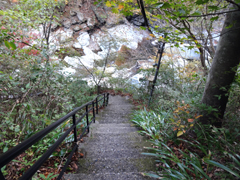 くまがや人の旅日記