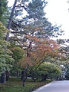 くまがやねっと 原田勇雅 徒然歌人日記