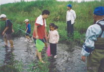 FJ̊lAc