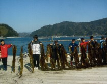 NPO 「海の森づくり推進協会」