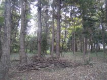 くまがやねっと NPO・ボランティア