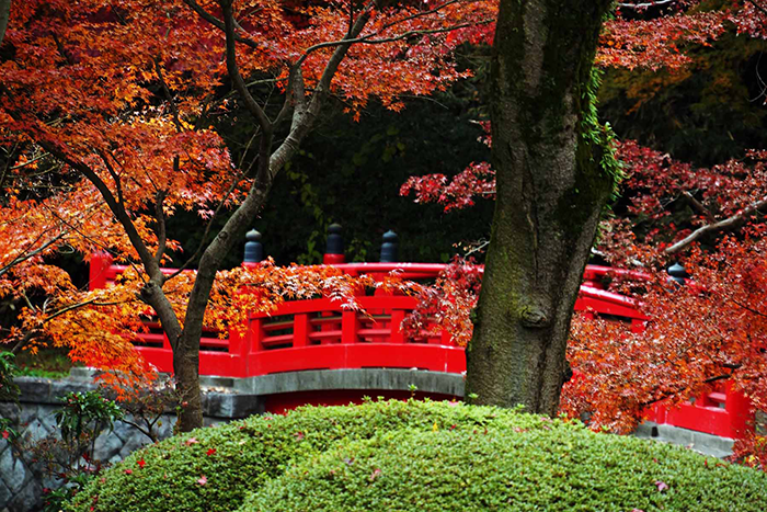 第73号 平林寺 喜多院の紅葉 くまがやねっと情報局 熊谷のことならくまがやねっと