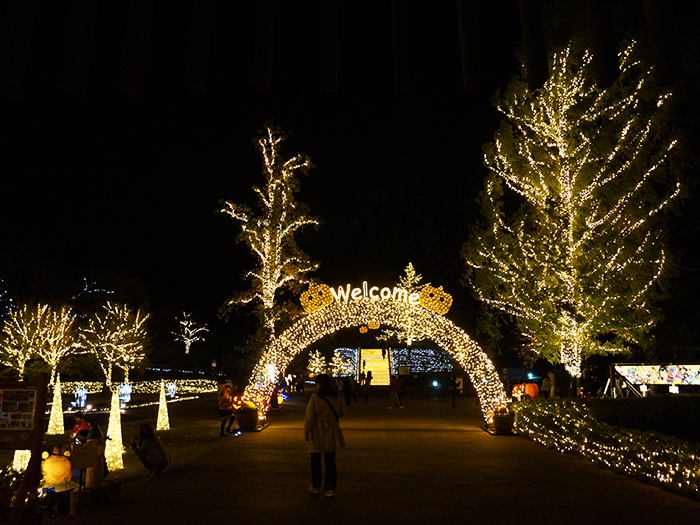 森林公園 紅葉見ナイト に行ってきました くまがやねっと情報局 熊谷のことならくまがやねっと